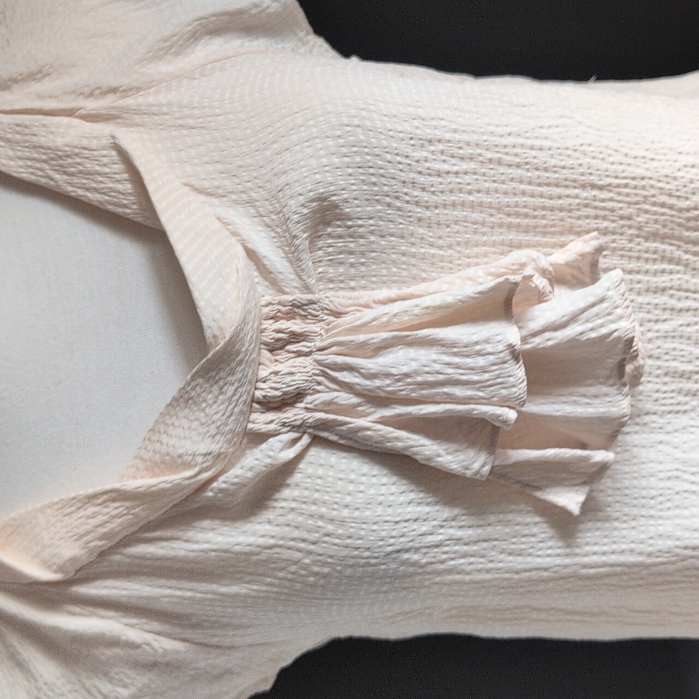 Anthropology Odille Cream Ruffle Blouse S 100% Silk - Picture 3 of 5